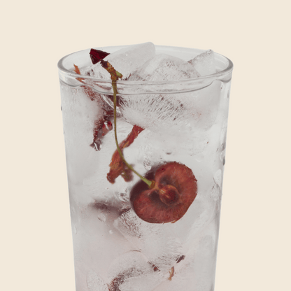 Hibiscus Cherry