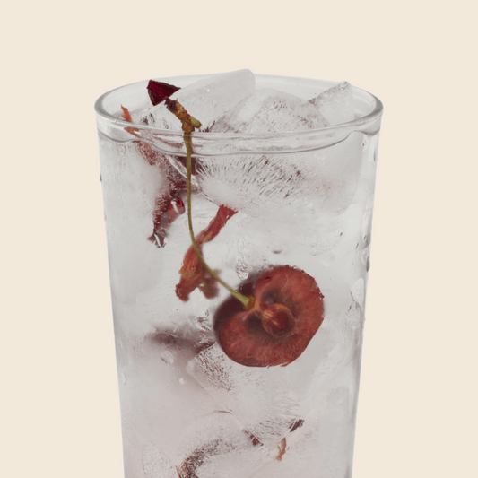 Hibiscus Cherry